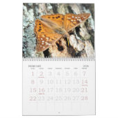 Calendrier Mural L'amour des insectes (Feb 2026)