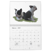 Calendrier Mural L'amour est Boston (Feb 2027)