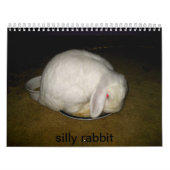 Calendrier Mural lapin idiot (Protection)