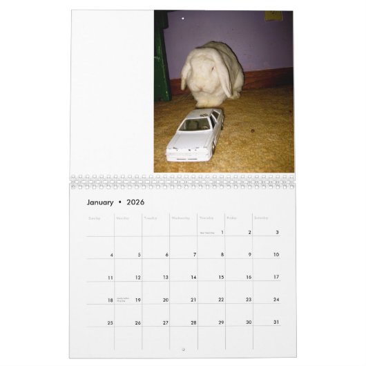 Calendrier Mural lapin idiot (Jan 2026)
