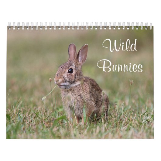 Calendrier Mural Lapins sauvages (Protection)