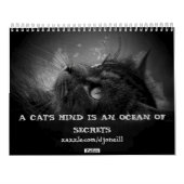 Calendrier Mural L'attitude de l'ange grincheux 16 mois (Dos)