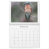 Calendrier Mural L'avifaune africaine classent (Feb 2027)