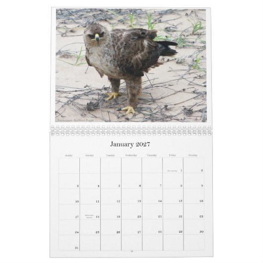 Calendrier Mural L'avifaune africaine classent (Jan 2027)