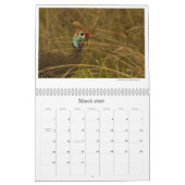 Calendrier Mural L'avifaune africaine classent (Mar 2026)