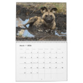 Calendrier Mural Le Botswana sauvage ! Safari dans le delta (Mar 2026)