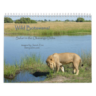 Calendrier Mural Le Botswana sauvage ! Safari dans le delta