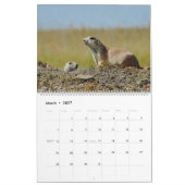 Calendrier Mural Le chien de prairie à queue noire (Mar 2027)
