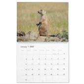 Calendrier Mural Le chien de prairie à queue noire (Jan 2027)