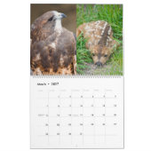 Calendrier Mural Le Colorado 2010 (Mar 2027)