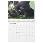 Calendrier Mural Le gorille de montagne ne clôturent aucune vacance (Mar 2026)