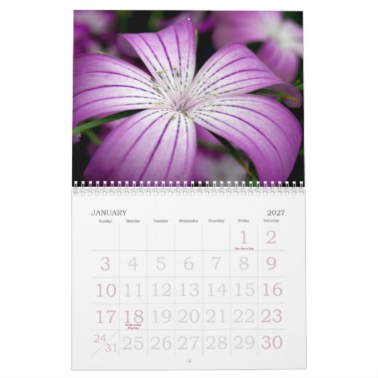Calendrier Mural Le jardin botanique de New York (Jan 2027)