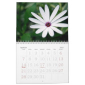 Calendrier Mural Le jardin botanique de New York (Mar 2027)