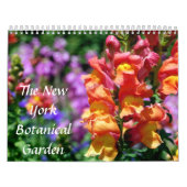 Calendrier Mural Le jardin botanique de New York (Protection)