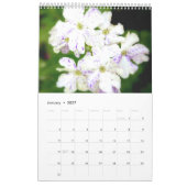 Calendrier Mural Le jardin pourpre 2011 (Jan 2027)