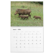 Calendrier Mural Le Kenya magique et sa faune classent 2014 2-Pg. (Mar 2026)