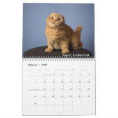 Calendrier Mural Le paquet de chat (Feb 2027)