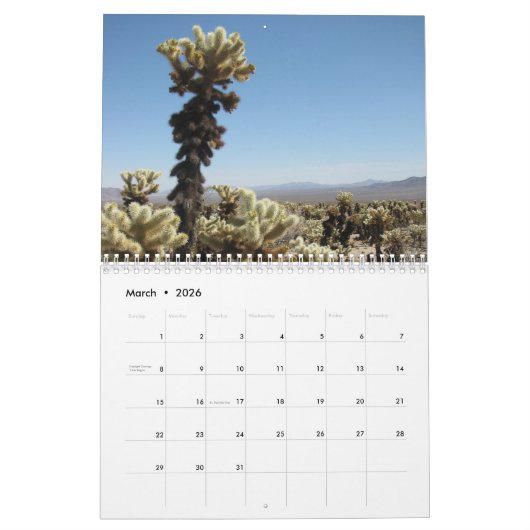 Calendrier Mural Le Parc national de Joshua Tree (Mar 2026)