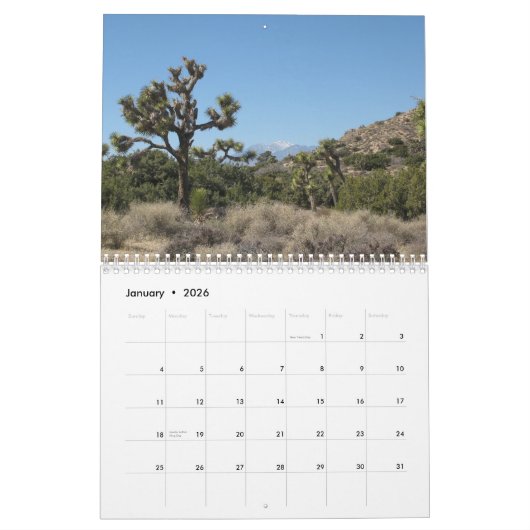 Calendrier Mural Le Parc national de Joshua Tree (Jan 2026)