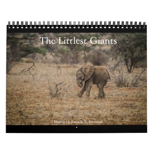 Calendrier Mural Le plus petit Giants (Protection)