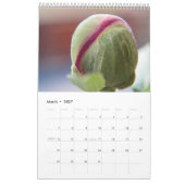 Calendrier Mural Le pouvoir de la fleur (Mar 2027)