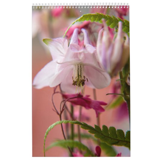 Calendrier Mural Le pouvoir de la fleur (Protection)