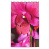 Calendrier Mural Le Tahiti (Protection)