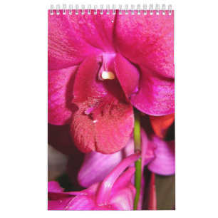 Calendrier Mural Le Tahiti