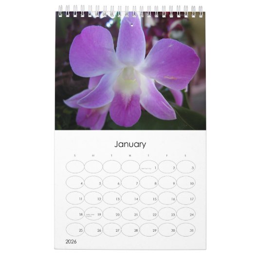 Calendrier Mural Le Tahiti (Jan 2026)