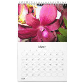 Calendrier Mural Le Tahiti (Mar 2026)