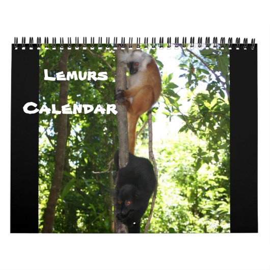 CALENDRIER MURAL LEAPING LEMURS (Protection)