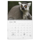 CALENDRIER MURAL LEAPING LEMURS (Jan 2026)