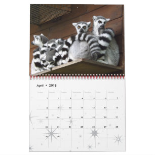 Calendrier Mural Lemur Wild Primate Bienvenue Accueil Destiny Desti