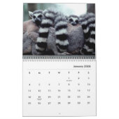 Calendrier mural Lemurs (Jan 2026)