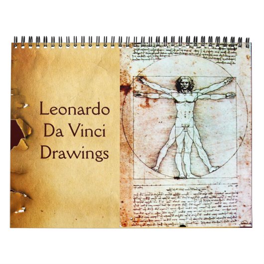 Calendrier Mural LEONARDO DA VINCI Dessins 2017 (Protection)