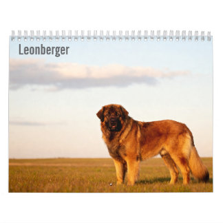 Calendrier mural Leonberger 2027