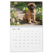Calendrier mural Leonberger 2027 (Mar 2027)