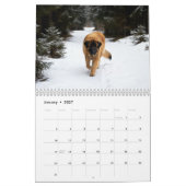 Calendrier mural Leonberger 2027 (Jan 2027)