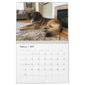 Calendrier mural Leonberger 2027 (Feb 2027)