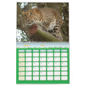Calendrier Mural LeopardCheetaro013, léopard (Mar 2027)