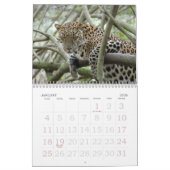 Calendrier Mural LeopardSundari_008, léopard Sundari (Jan 2026)