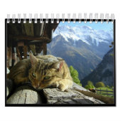Calendrier Mural Les chats classent 2012 (Protection)