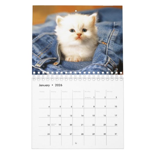 Calendrier Mural Les chats classent 2012 (Jan 2026)