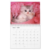 Calendrier Mural Les chats classent 2012 (Mar 2026)