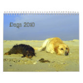 Calendrier Mural Les chiens classent pour 2010 (Protection)
