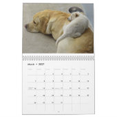 Calendrier Mural Les chiens classent pour 2010 (Mar 2027)