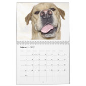 Calendrier Mural Les chiens classent pour 2010 (Feb 2027)