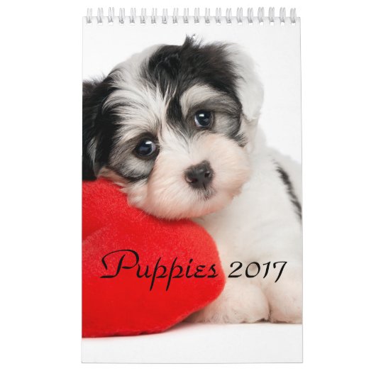 Calendrier Mural Les chiots classent 2017 (Protection)