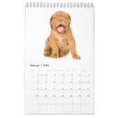 Calendrier Mural Les chiots classent 2017 (Feb 2026)