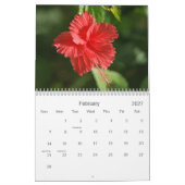 Calendrier Mural Les Fidji 2010 (Feb 2027)